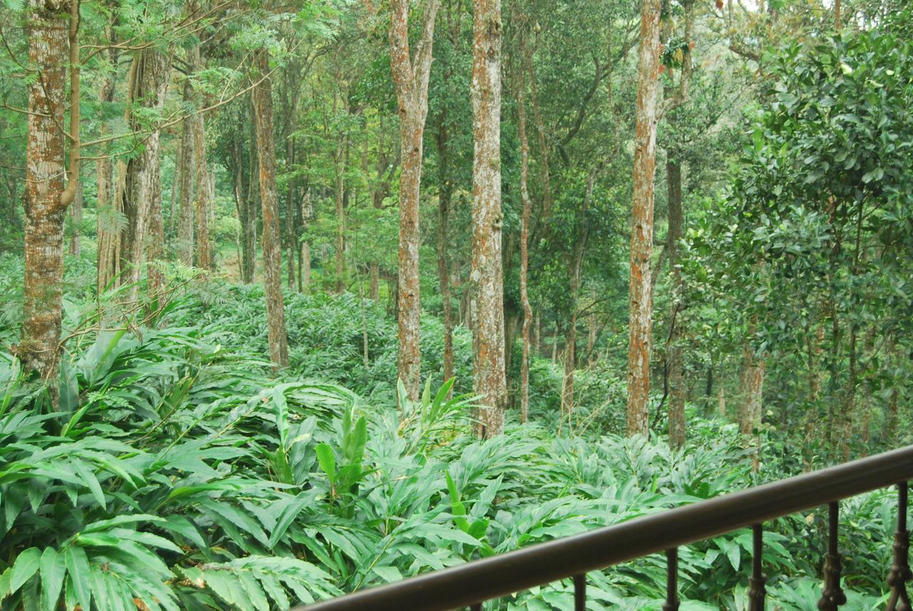 T Cherry Villa Munnar Extérieur photo