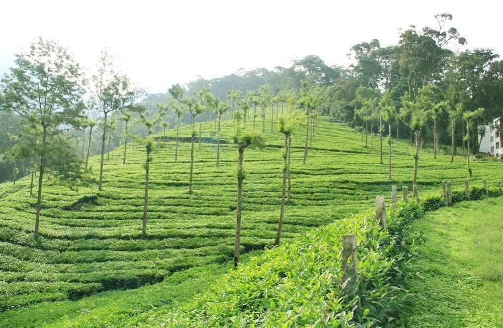 T Cherry Villa Munnar Extérieur photo