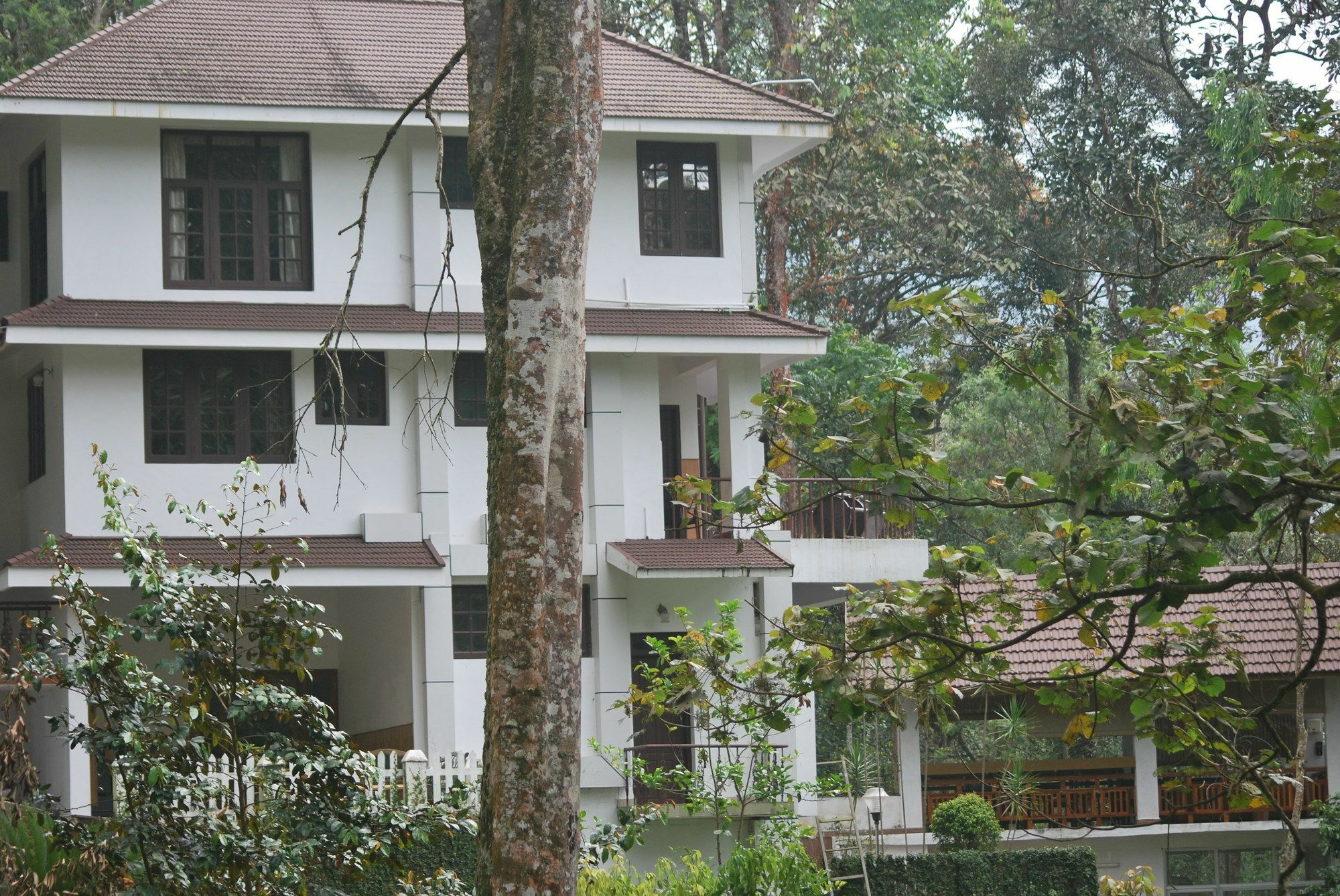 T Cherry Villa Munnar Extérieur photo