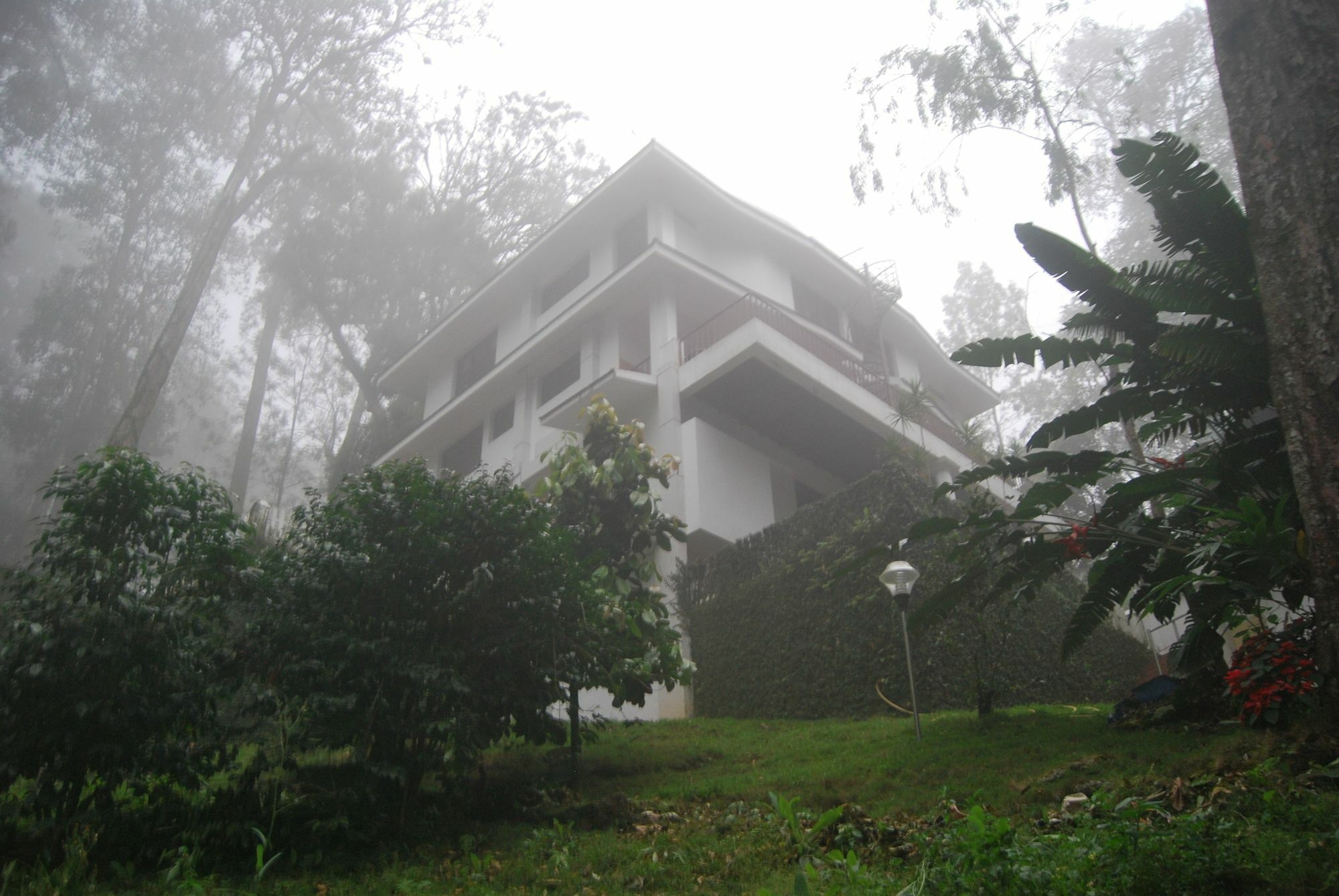 T Cherry Villa Munnar Extérieur photo